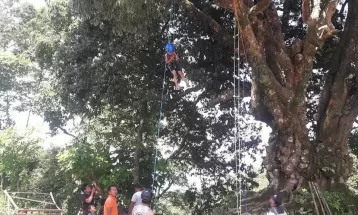 Tree climbing introduced at Rangrung to draw tourists