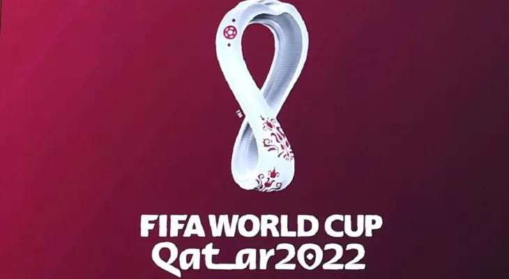 Appeal to help make FIFA World Cup in Qatar a success