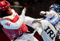 There was no medal for Nepal in taekwondo at the 19th Asian Games