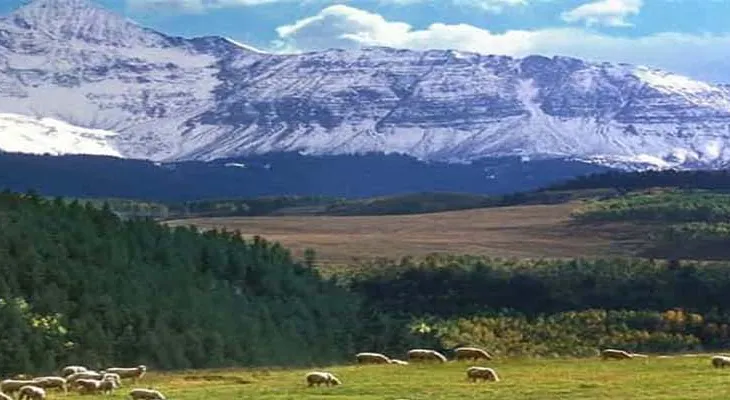 प्रथम ढोरपाटन हाइअल्टिच्युड तेक्वान्दो सेमिनार–२०२३ हुने