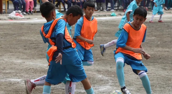 लोयल्टी र काष्ठमण्डप सेमिफाइनलमा