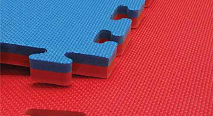 दिलिप स्मृति तेक्वान्दो डोजाङलाई म्याट